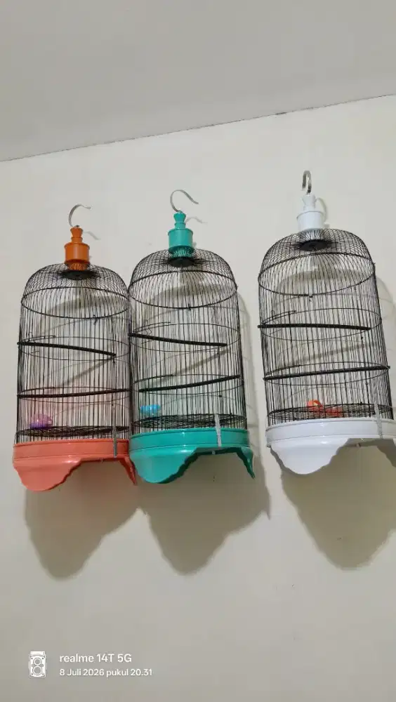 kandang pvc baru
