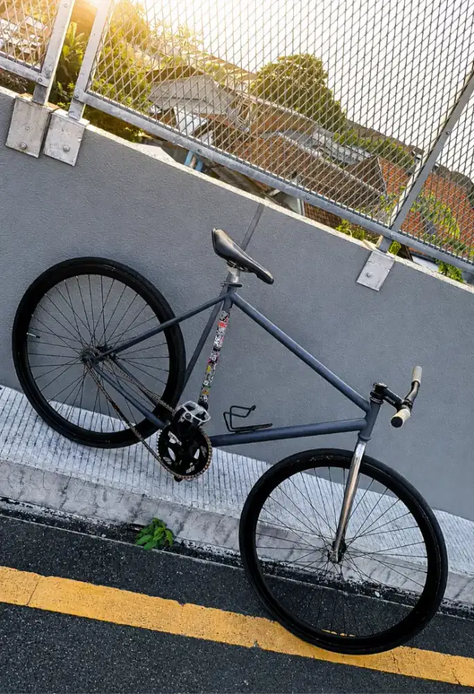 Sepeda fixie costum