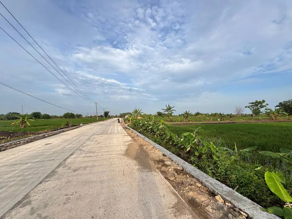 DIJUAL SEGERA TANAH 0 KM JALAN POROS DUNGUS DAMPAAN CERME KAB GRESIK