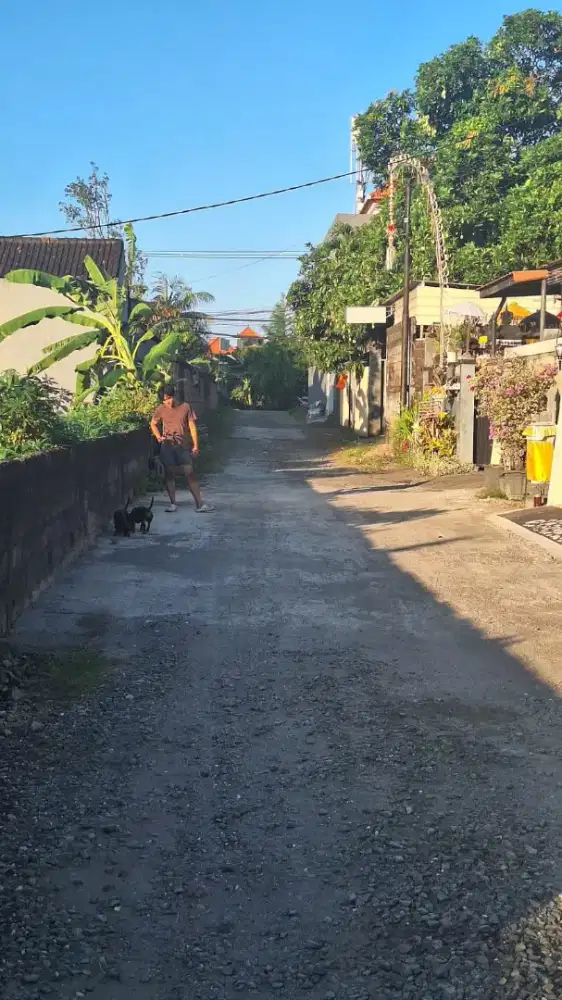 Di jual tanah jalan Sedap malam, DPS, Bali