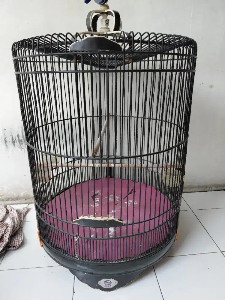 Kandang murai Ebod No.1