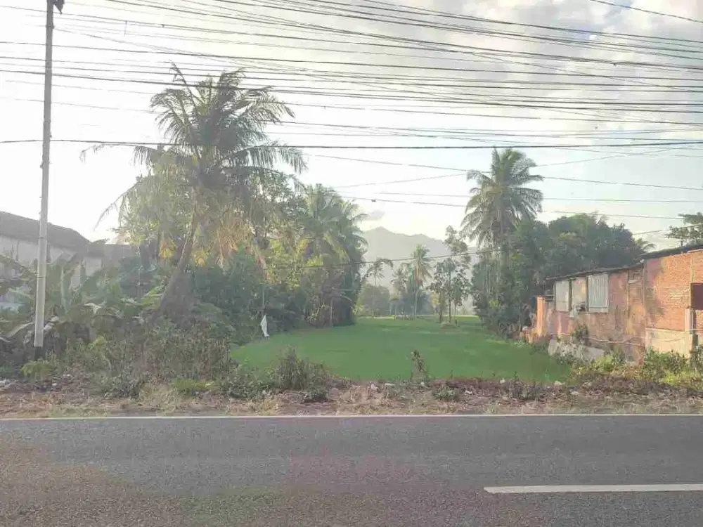 Dijual Tanah di jln Raya Situbondo BWS