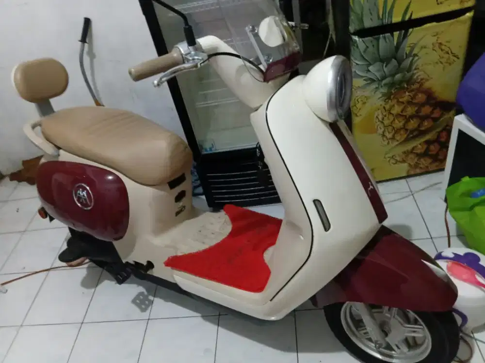 Sepeda listrik merek AIMA AQ5