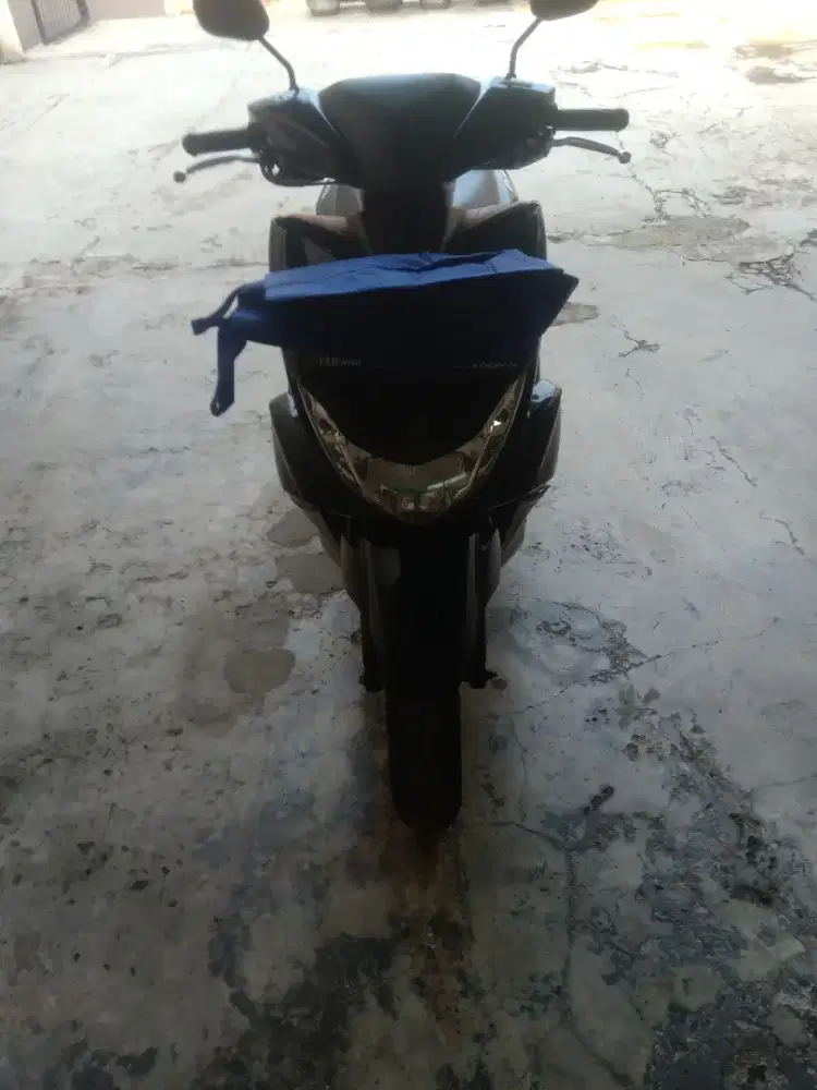 freego standard 2020
