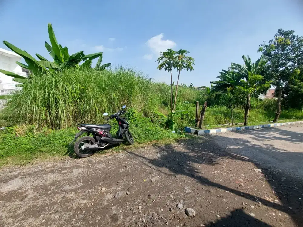 Tanah Lokasi Wage Aloha ( Jl Taruna ) Taman Sidoarjo