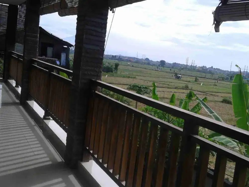 disewakan Villa View sawah dekat Sanur Denpasar