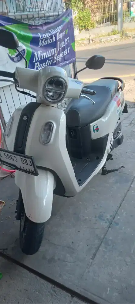 Fazzio 2023 putih.elegant