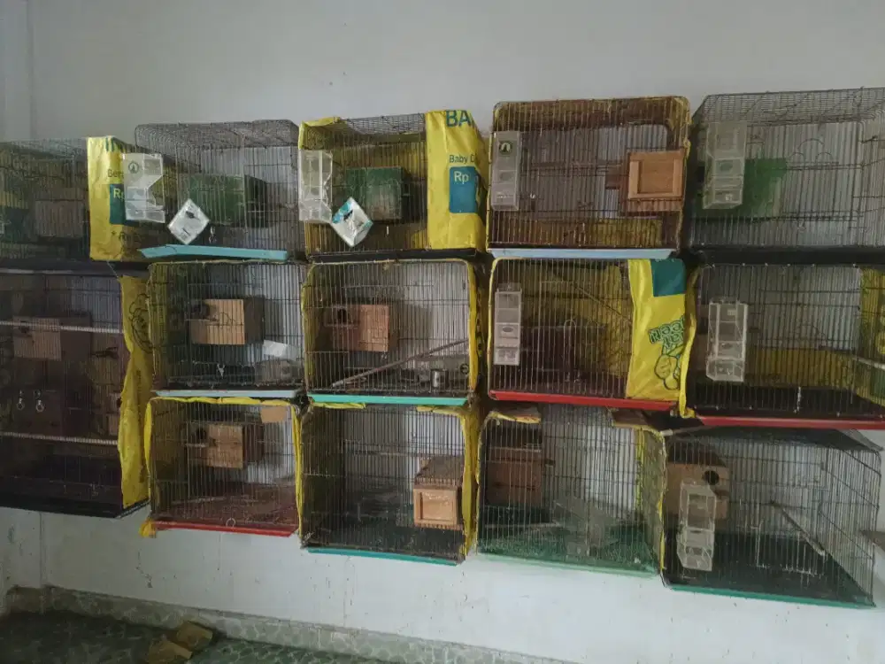 kandang bekas kondisi layak pakai