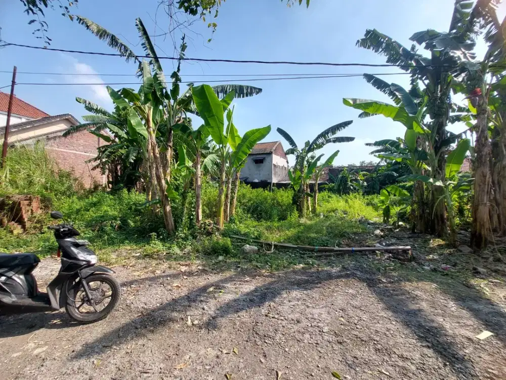 Tanah Lokasi Wage Aloha ( Jl Taruna ) Taman Sidoarjo