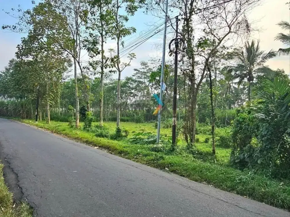 Dijual Tanah Siap Bangun di Jalan Raya Gunung Jati Jabung, Singosari Kab. Malang