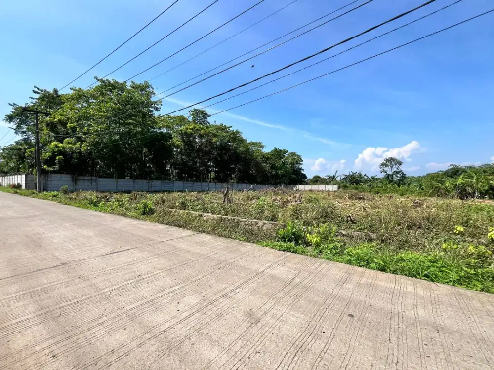 Tanah Kavling Cisauk,Langsung Tepi Jalan,Akses Mobil