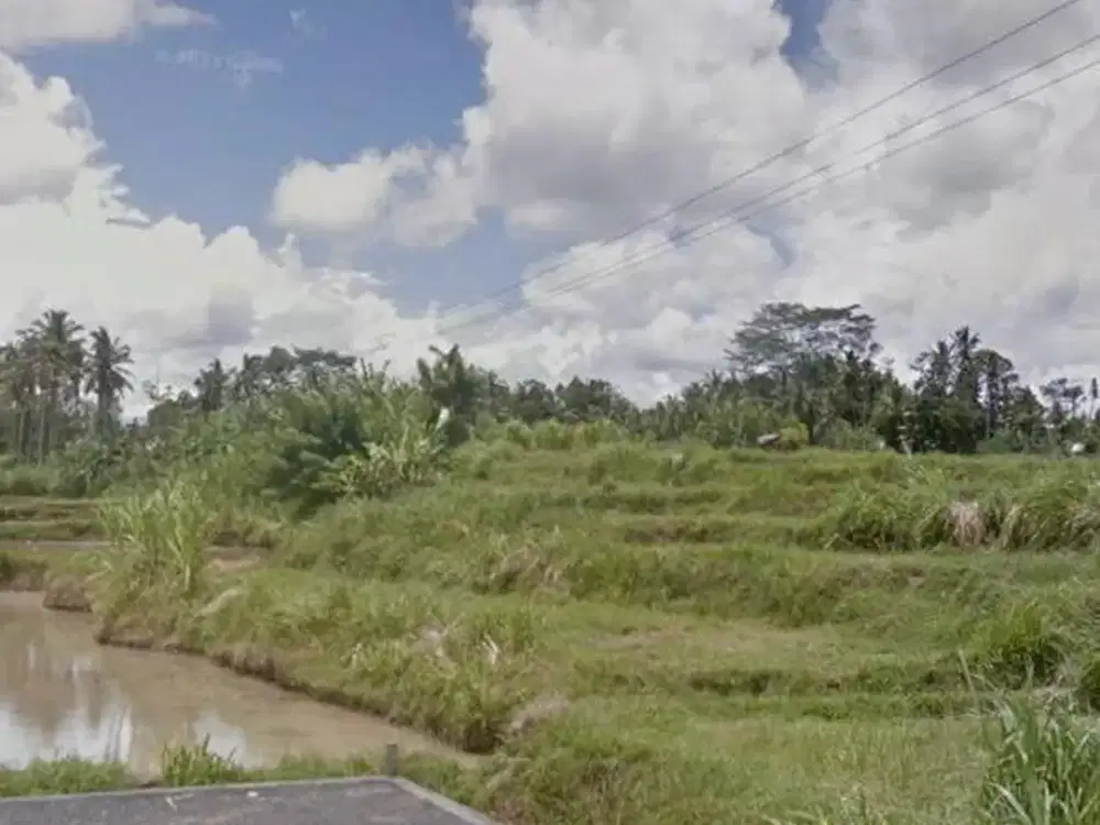 Tanah Dijual 4.000 m² | Harga Rp3,5 Juta per m² | Peluang Investasi