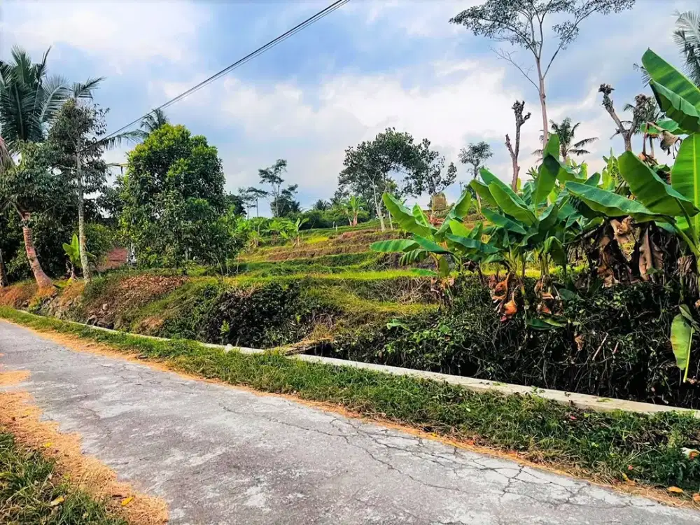 Tanah 727m² View Hamparan Sawah Karangpandan