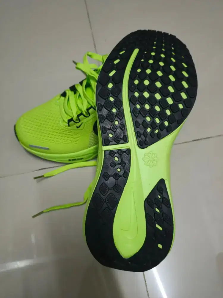 zoom pegasus 43