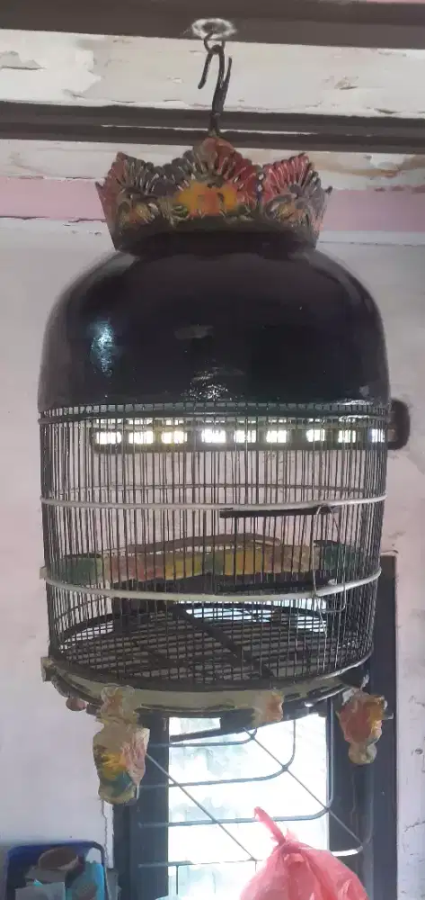 Sangkar kutut kayu dempul bagus siap pakai
