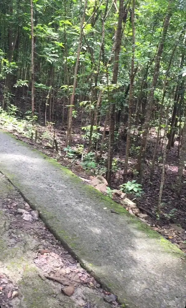 DIJUAL TANAH DI GEDANGSARI GUNUNG KIDUL YOGYAKARTA