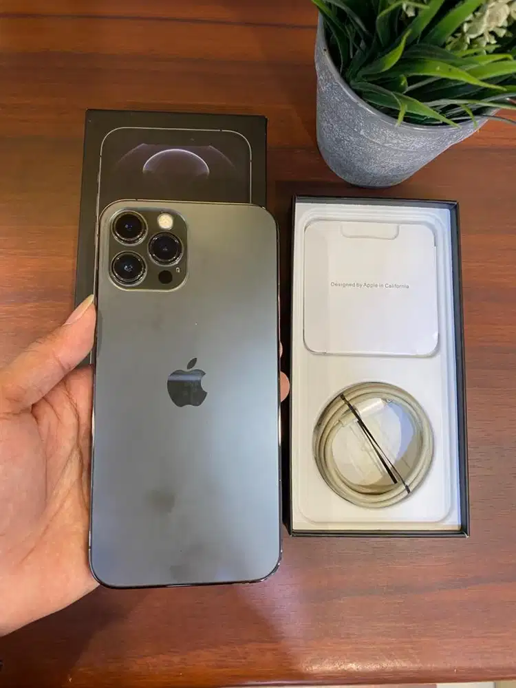 iPhone 12 Pro Max 256GB Graphite Inter Regis Kemenfrint