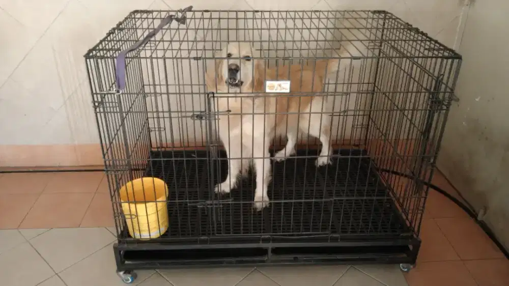 kandang anjing besar merk Octagon.