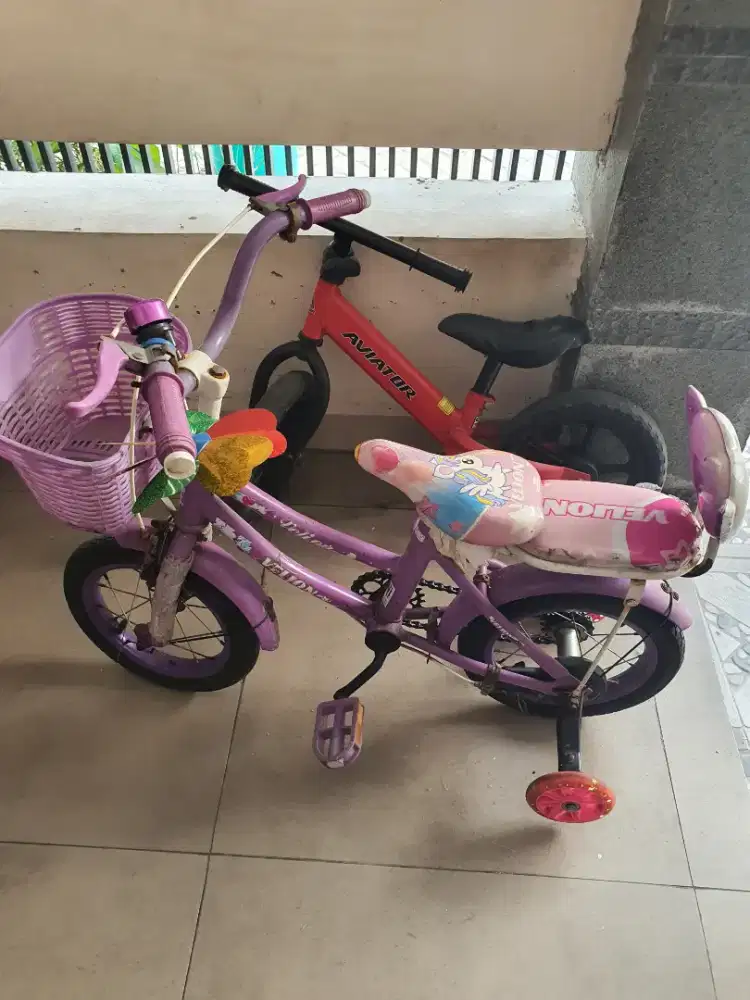 Sepeda Anak usia 2-4 tahun