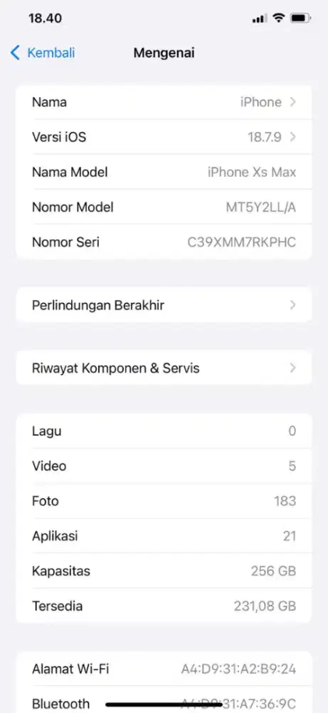 iPhone Xs Max 256 iOs 18.7.9