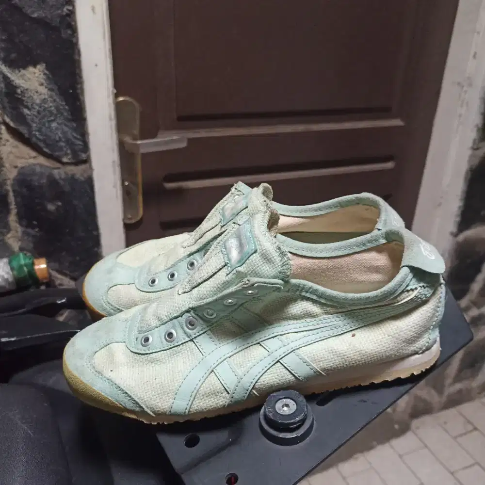 Onitsuka Tiger  shoes