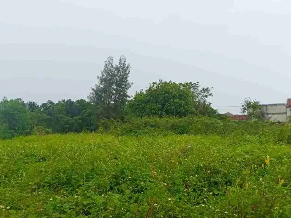 Tanah Super Murah