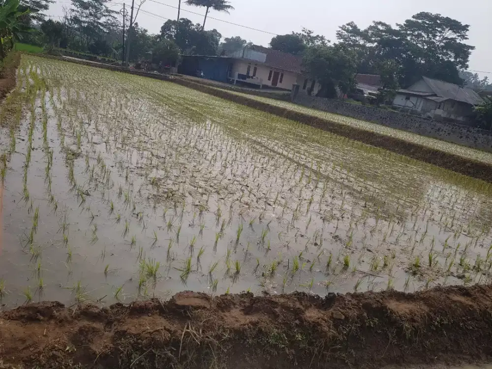 FS: Tanah Sawah Produktif