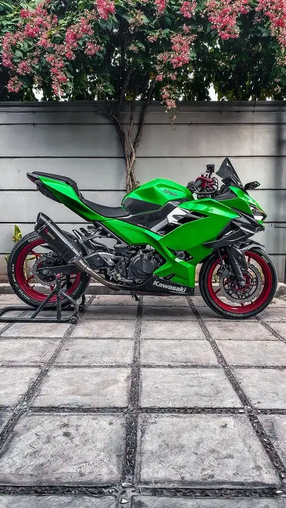 All new kawasaki ninja 250 2018
