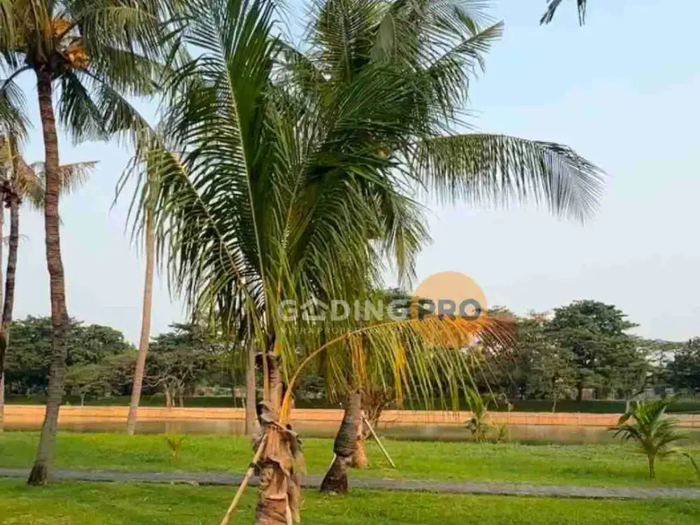 Termurah Dijual Kavling Taman Resort Mediterania Pik 15X30m