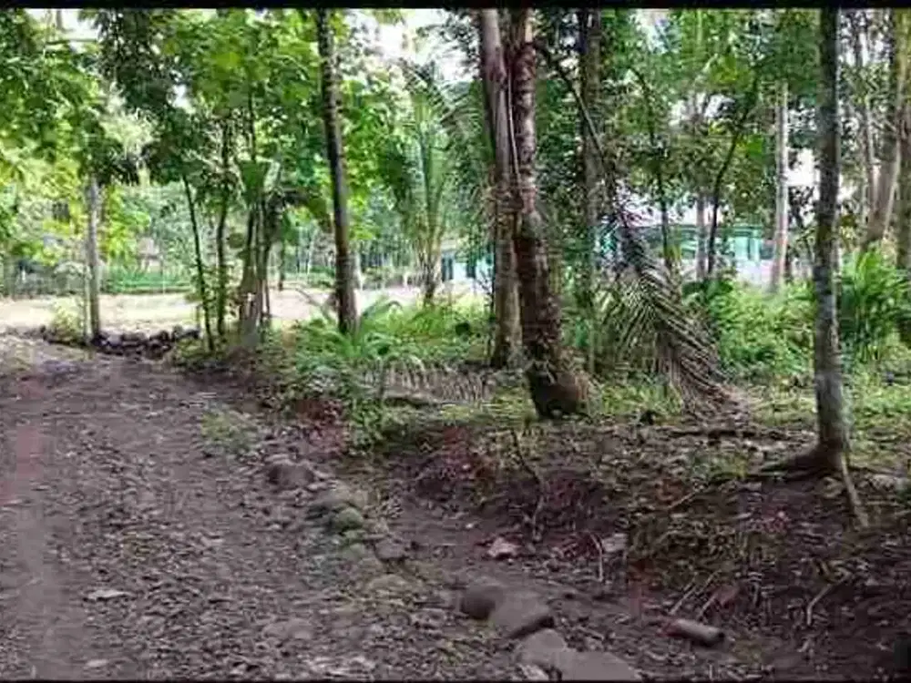 dijual tanah murah,dekat masjid di banyuroto,nanggulan