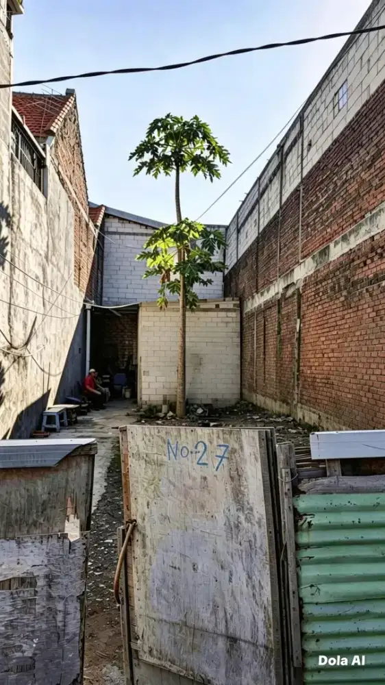 Dijual Murah Tanpa perantara