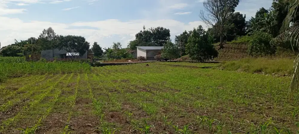 Dijual tanah di jalan Serimpi 7