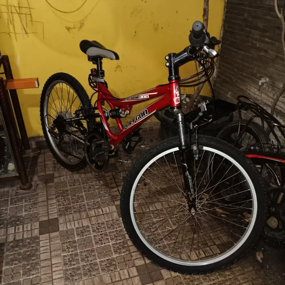 Sepeda mtb polygon