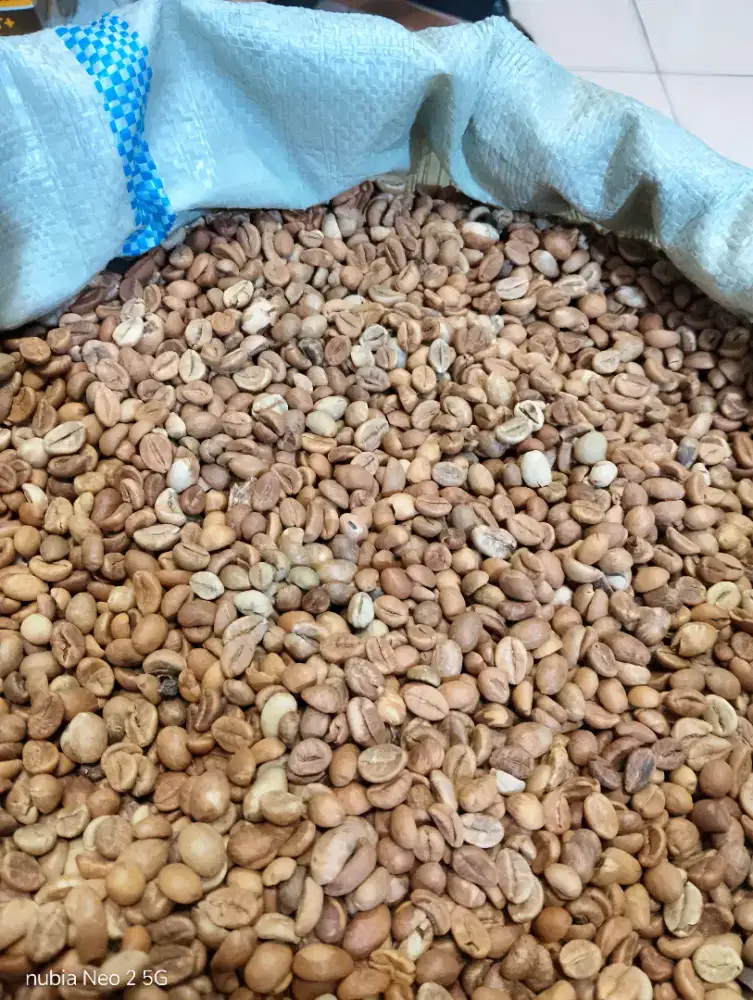 ROBUSTA GRADE 1 & ASALAN KOTOR