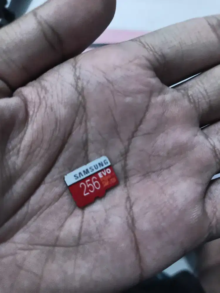 Sd card Samsung evo 256 gb