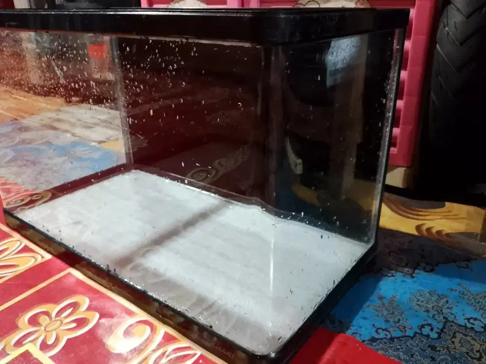Akuarium bending kaca lengkung