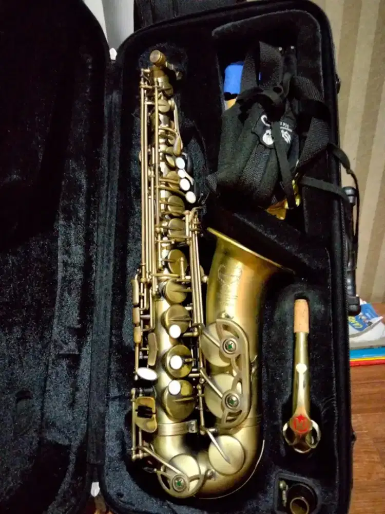 Weissenberg a 500 rh alto saxophone