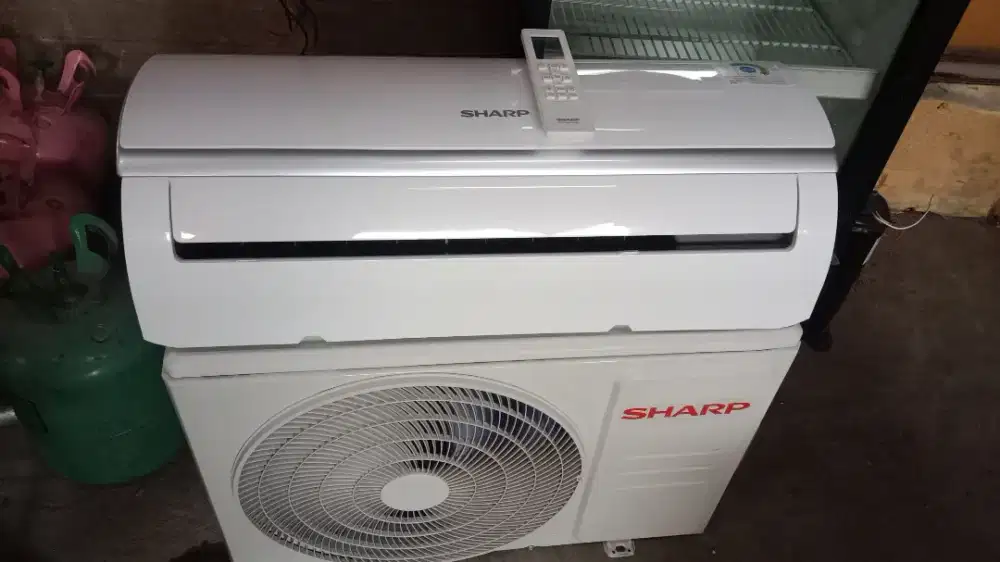 AC Sharp 1/2pk  ori mulus