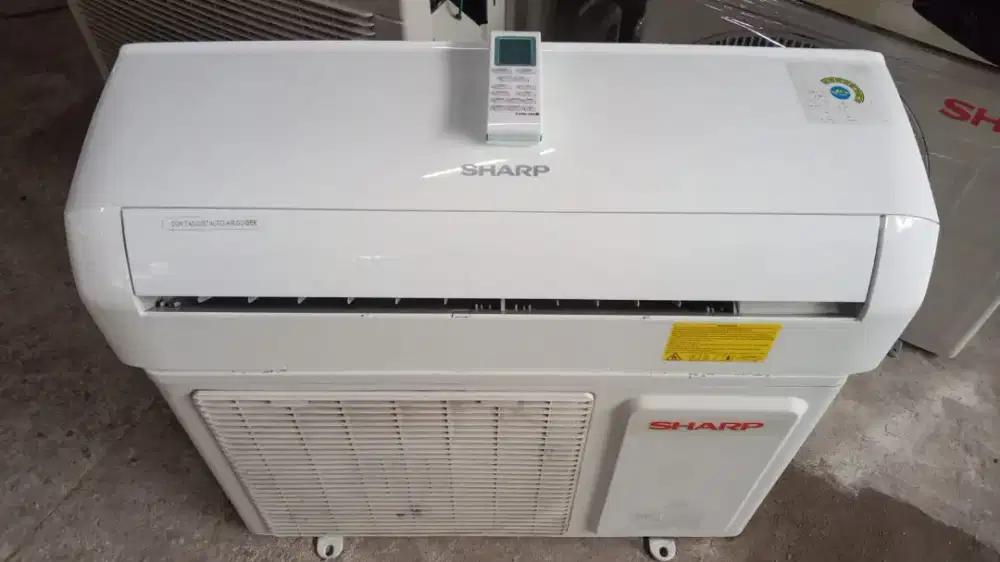 AC Sharp 1/2pk ori mulus