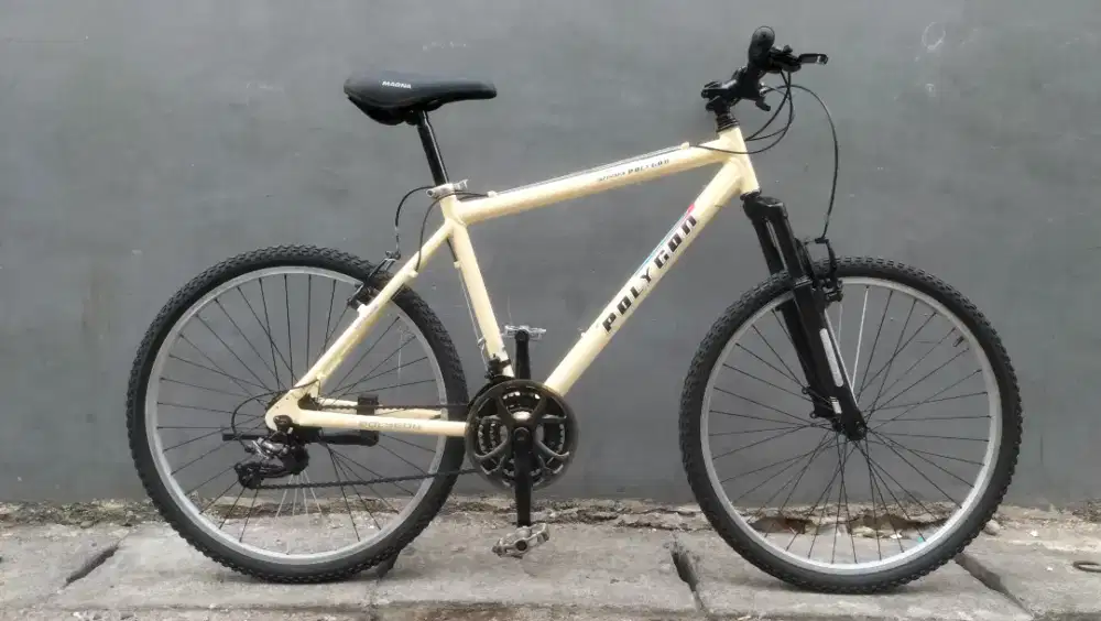 Sepeda MTB polygon
