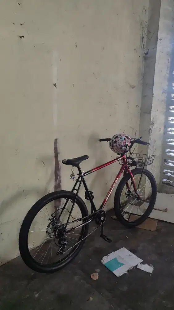 Sepeda Custom Commuter Decal Federal