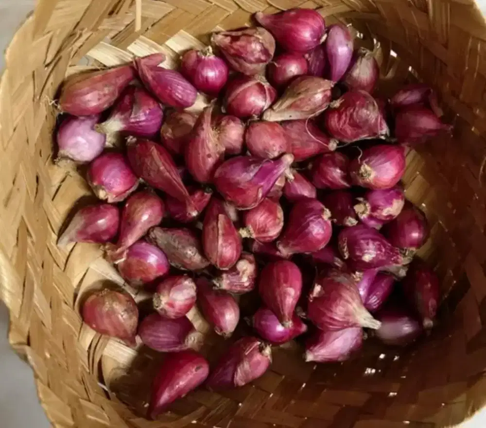 Bawang Merah Brebes Super 500gr
