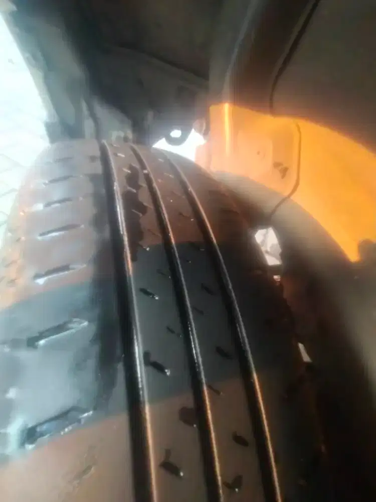 Bridgestone ecopia R14