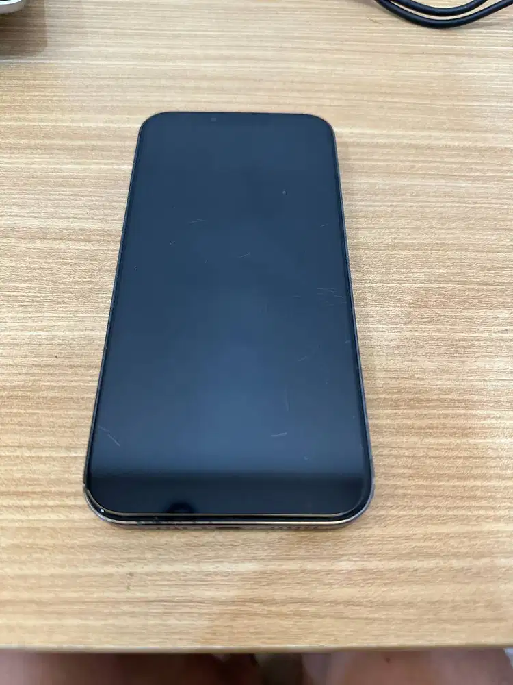 Iphone 13 pro max 256 gb beacukai