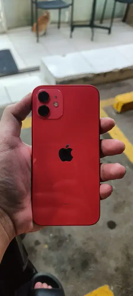iPhone 12 64GB inter All operator