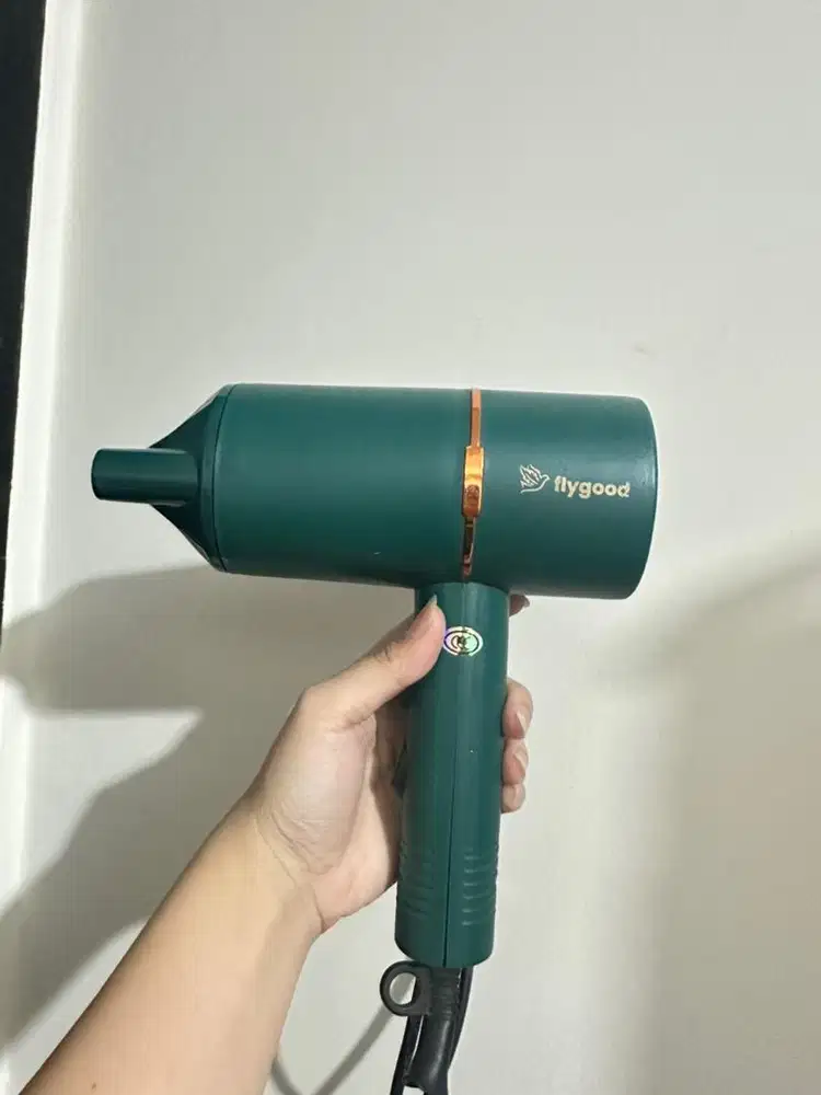 HAIR DRYER FLYGOOD