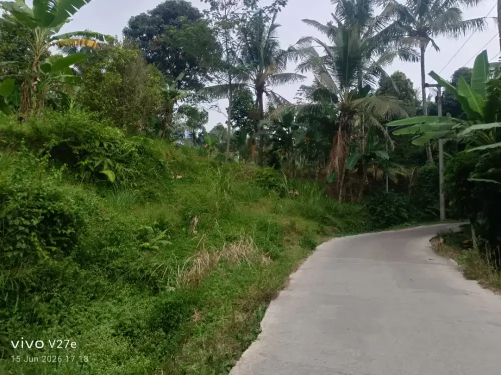 Dijual tanah murah 250rb,m2 cocok buat villa kebun dekat jl raya