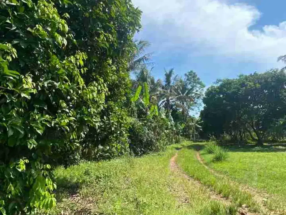 Dijual Tanah di Gunung Sindur