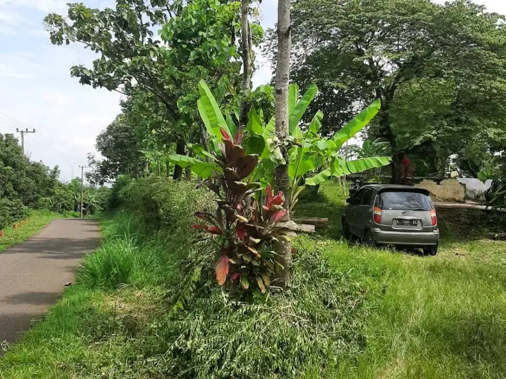 Wonosalam Jombang