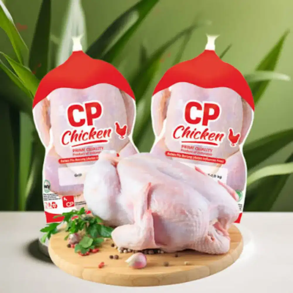 JUAL AYAM FROZEN